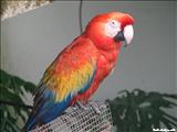 Puerto Rico Zoo Dr Juan A. Rivero  - MAYAGÜEZ